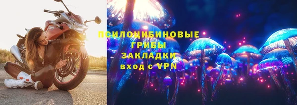 дживик Навашино